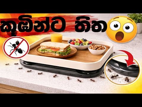 කූඹියන්ට තිත, Ant-Proof Tray